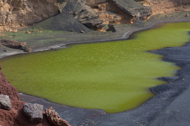 ve en un cráter volcánico con su lago verde cerca de el golfo, isla de lanzarote, españa - lanzarote bay canary islands crater fotografías e imágenes de stock