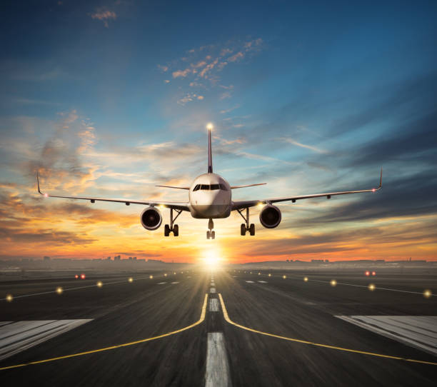 istock Airplane landing to airport runway in sunset light 646556484
