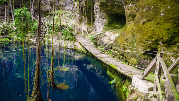 X'Canche Cenote cenote is close to Ek Balam, Yucatan, Mexico. X'Canche Cenote cenote is close to Ek Balam near Valladolid, Yucatan peninsula, Mexico. valladolid mexico photos stock pictures, royalty-free photos & images