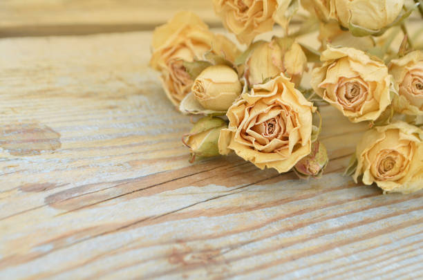 Abstract holiday frame with dried roses on old wooden plates.
