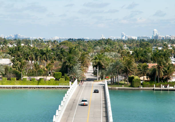 istock Entrance To Palm Island 646583194
