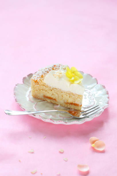 istock Piece of contemporary Easter Coconut Tart 646585852