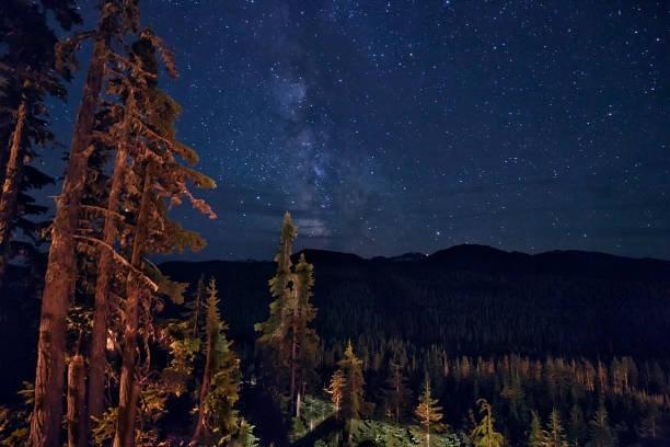 istock Milky way over Mount Washington, BC, Canada 646592704