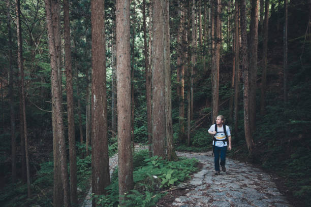 istock Hiker Climbing a Pathway on Nakasendo Trail 646598022