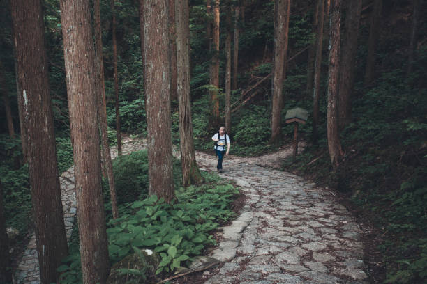istock Hiker Climbing a Pathway on Nakasendo Trail 646598092
