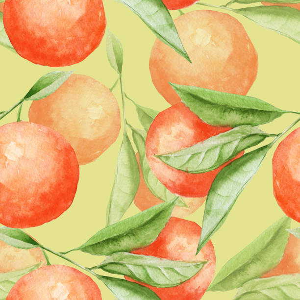 tło pomarańczowa gałąź. bez szwu. - nectarine peach backgrounds white stock illustrations