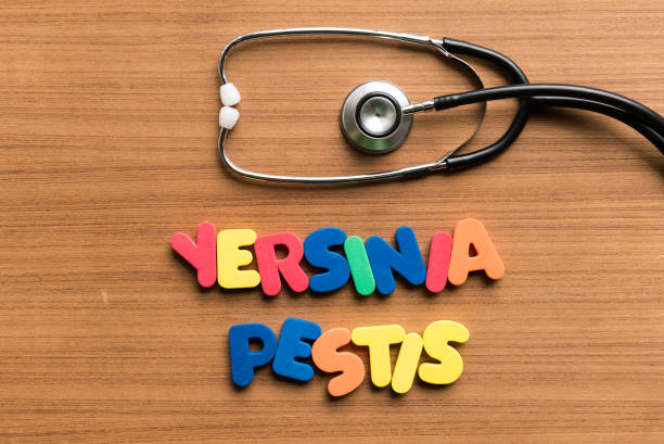 istock colorful word with stethoscope on wooden background 646602820