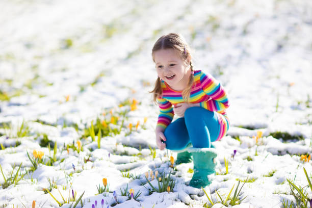 маленькая девочка с цветами крокусов под снегом весной - crocus easter spring flower стоковые фото и изображения