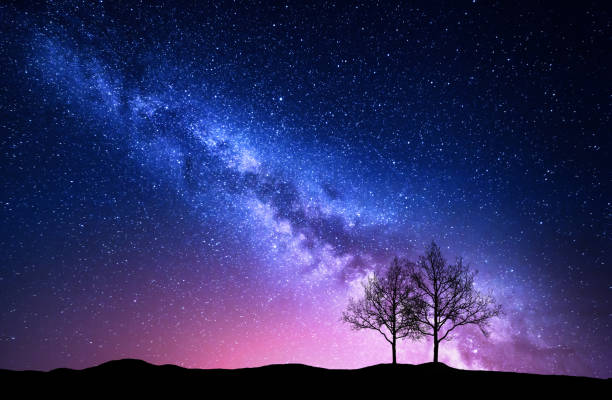 Photo of Starry sky with pink Milky Way. Night landscape with alone trees on the hill against colorful milky way. Amazing galaxy. Nature background with beautiful universe. Astrophotography