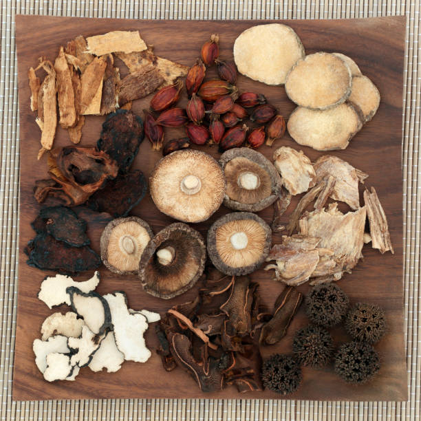 istock Chinese Herbal Medicine 646637798
