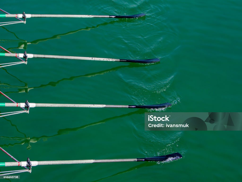 Remos de cráneos cuádruples remo - Foto de stock de Remar libre de derechos