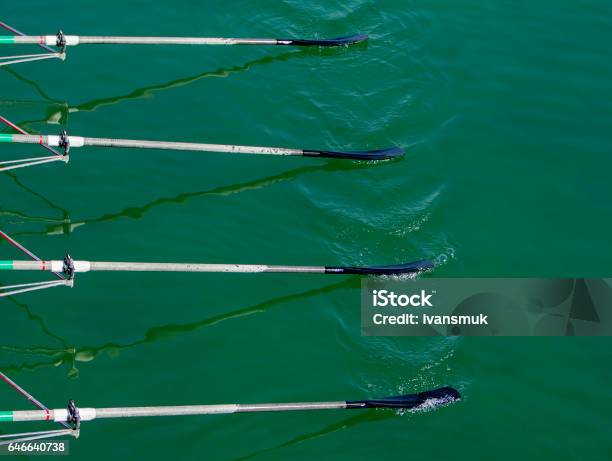 Remos De Cráneos Cuádruples Remo Foto de stock y más banco de imágenes de Remar - Remar, Remo, Equipo deportivo