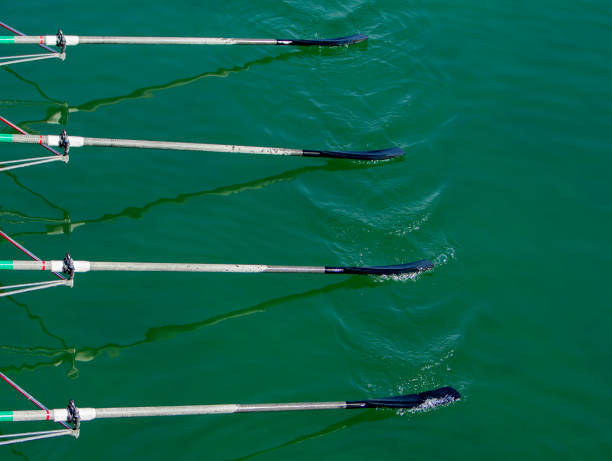 istock Oars of quadruple skulls rowing 646640738