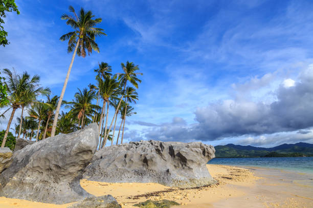 Tropical coastline with rocks and palm trees, Palawan, Philippines