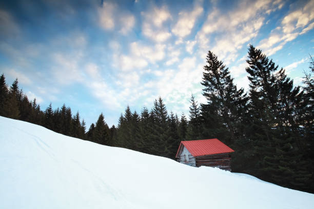 istock old wooden hut in snowy Alps 646662448