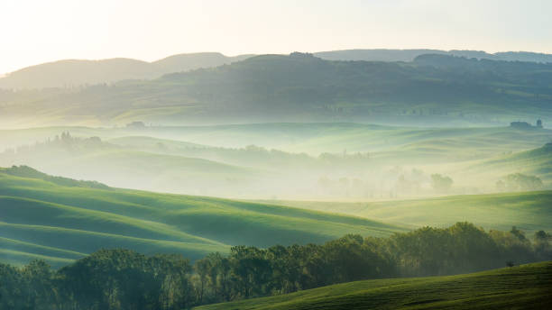 istock The green field Tuscany Italy 646662642