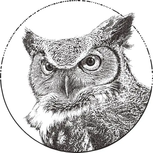 Vector illustration of Great Horned Owl close up