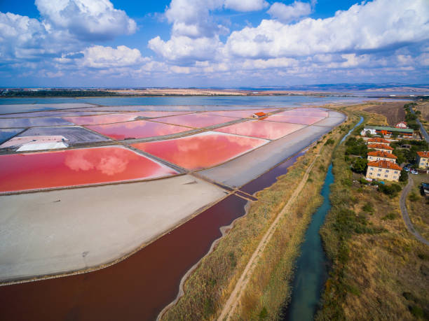 istock Aerial view of salinas 646675712