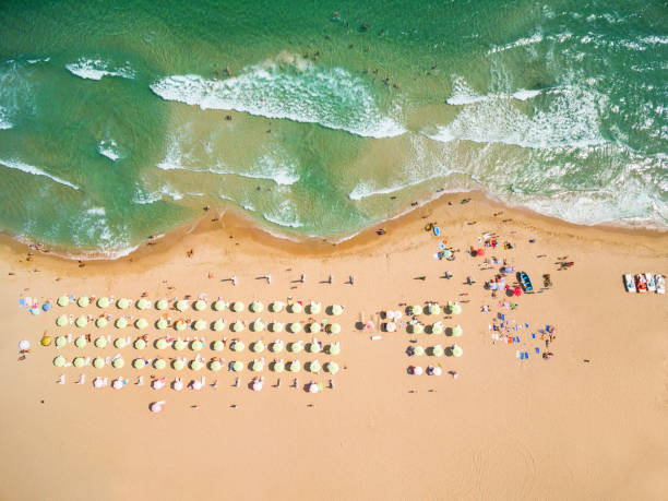 istock Beach with umbrellas and tourists on vacations 646675720