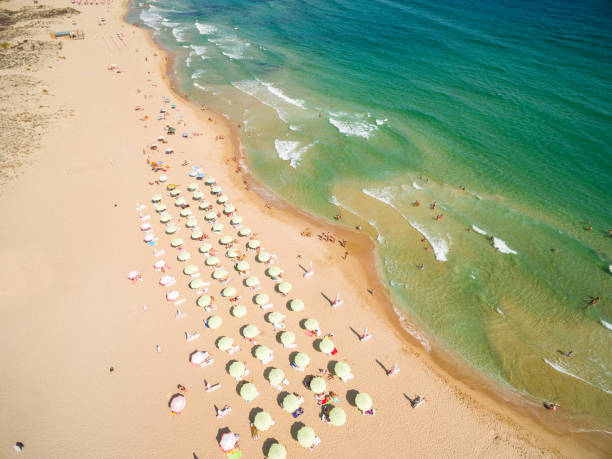 istock Tourists on vacations relaxing on beach 646675726
