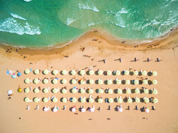 istock Aerial view of beach with umbrellas 646675740