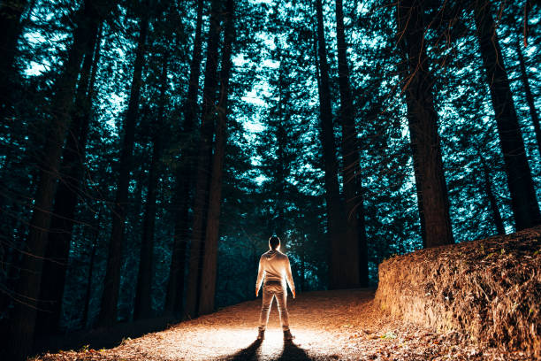 istock Man's silhouette in the forest 646677760