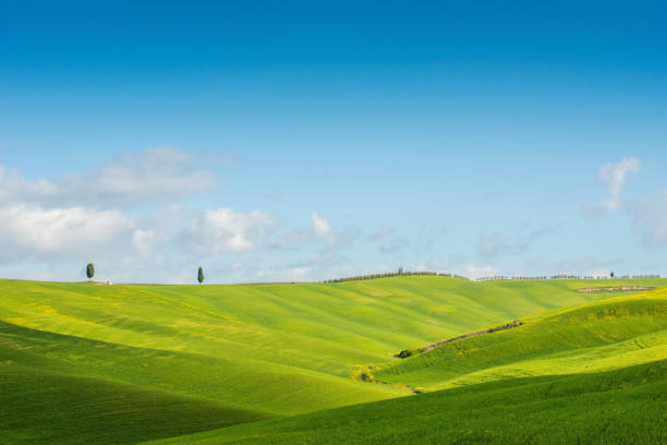 istock The green field Tuscany Italy 646681836
