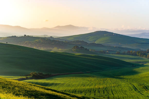 istock The green field Tuscany Italy 646682708