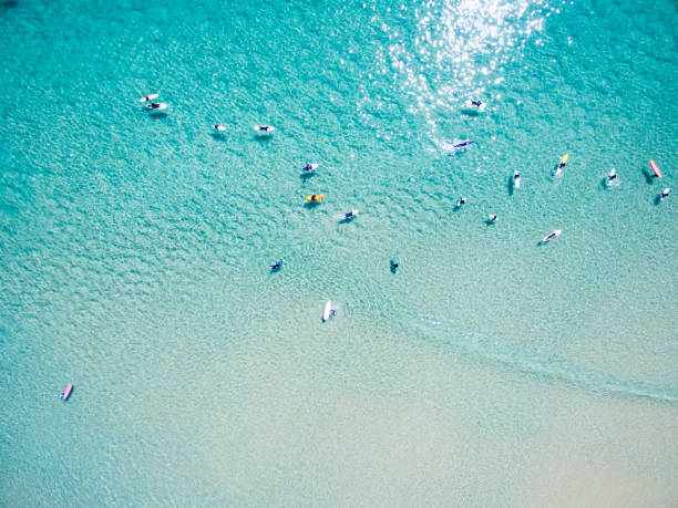 vista aérea da praia de verão - surfing sunlight wave sand - fotografias e filmes do acervo
