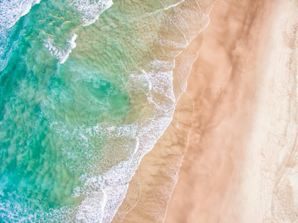 uma vista aérea da praia no verão - surfing sunlight wave sand - fotografias e filmes do acervo