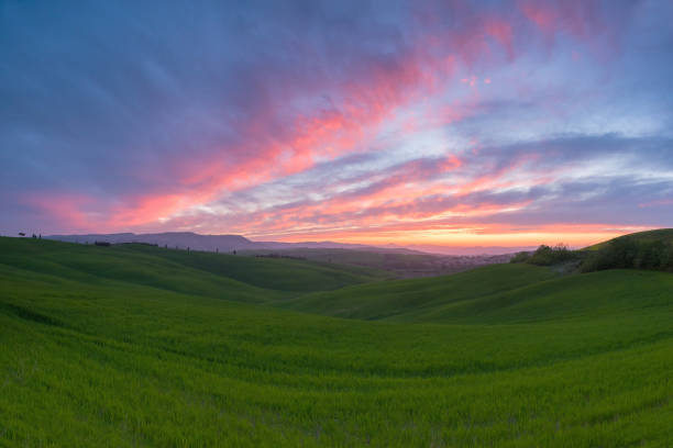 istock The green field Tuscany Italy 646694270
