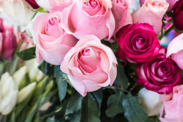 istock Bunch of big pink red and tea roses 646694636