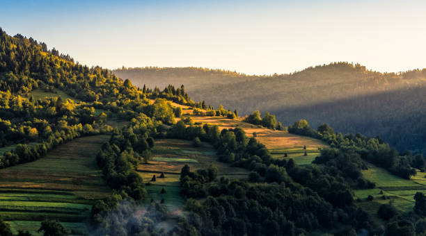 istock agricultural fields on hills sunrise 646702734
