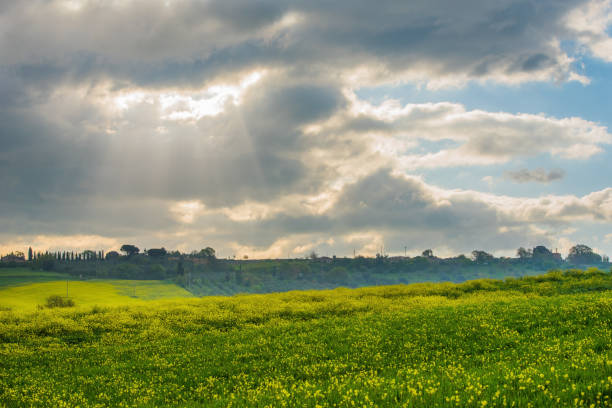 istock The green field Tuscany Italy 646702934