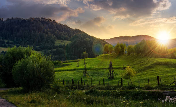 istock agricultural fields on hills sunrise 646702988