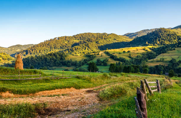 istock agricultural fields on hills sunrise 646702994