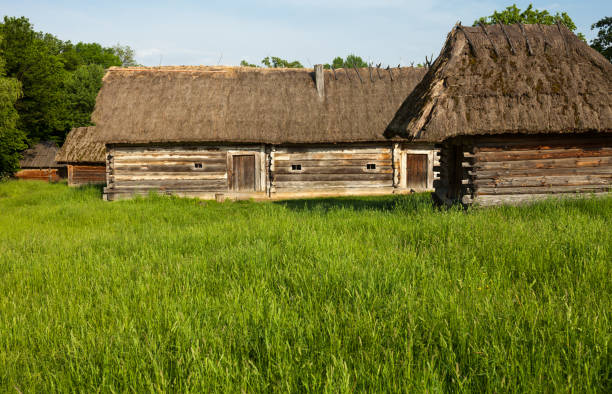 istock Old wooden sheds with straw-thatched roofs. 646713352