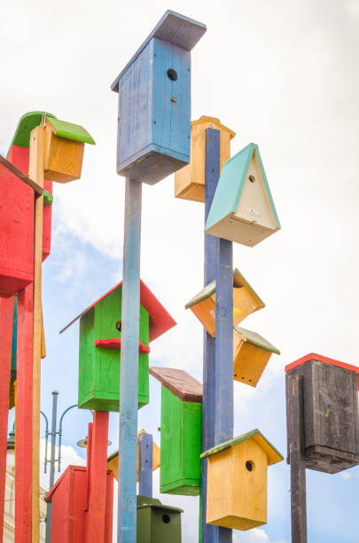 istock The colorful bird houses 646717114