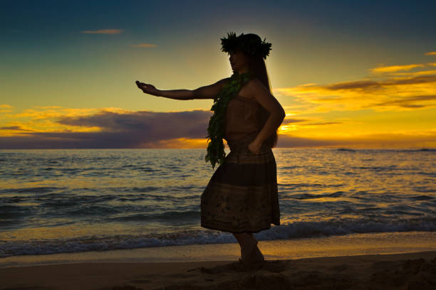 istock Hawaiian Hula Dancer Dancing on the Beach at Sunset 646719358