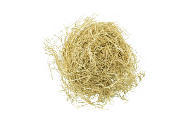 hay isolated on a white background stock photo