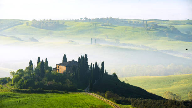 istock The green field Tuscany Italy 646723432