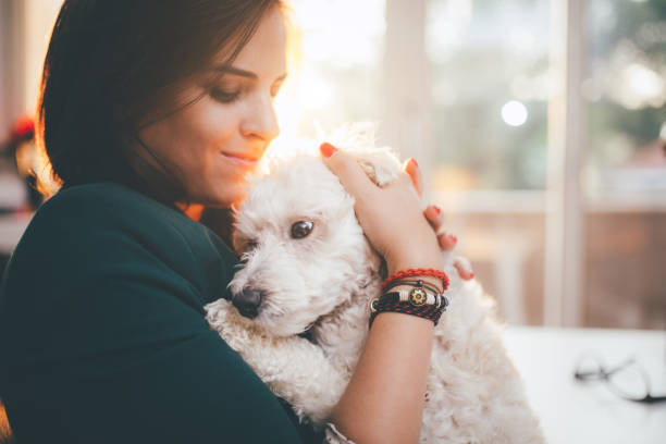 istock Love my dog soo much! 646726710