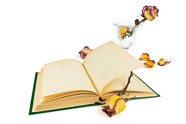 istock The book and the roses 646729664