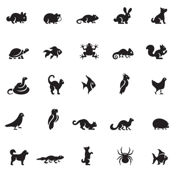 haustiere-icon-set - lizard stock-grafiken, -clipart, -cartoons und -symbole