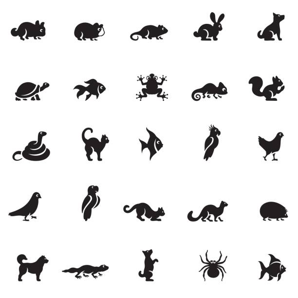 illustrazioni stock, clip art, cartoni animati e icone di tendenza di set di icone animali domestici - serpente rettile