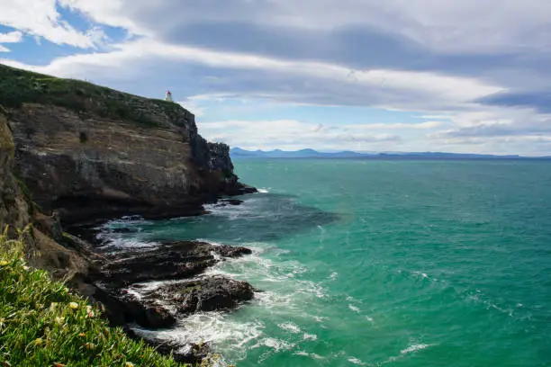 Photo of Dramatic Coast of Southern New Zealand