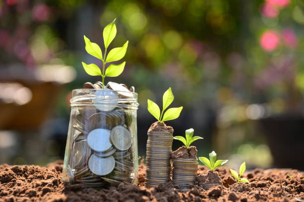 istock Save money with stack coin for growing your business 646740602