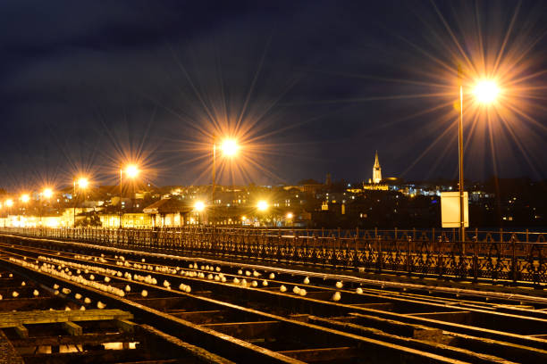 Seagulls huddle together on railway tracks and sleepers to shelter from the cold wind at Ryde Pier on the Isle of Wight. Ryde town lights can be seen in the background.