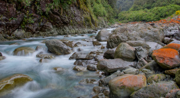 istock Otira River in Arthur's Pass New Zealand 646744504