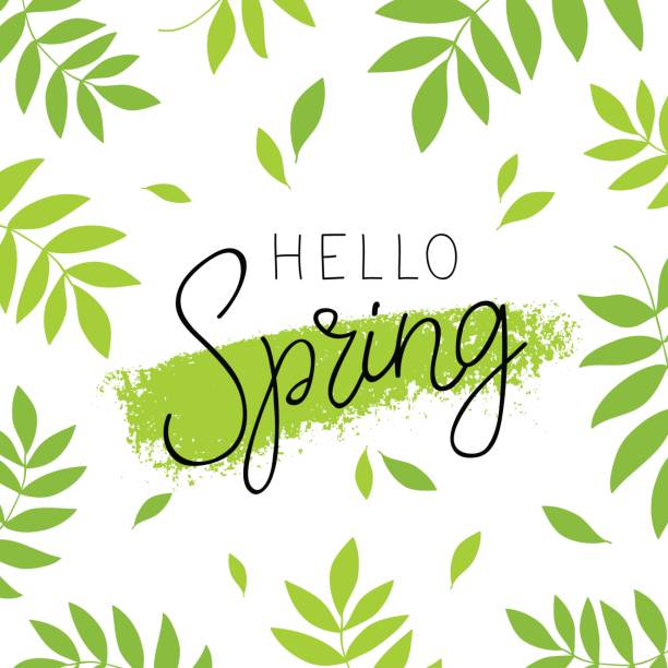 Hello spring. Calligraphy and lettering Hello spring. Calligraphy and lettering. Vector illustration. Green plant in the background. Concept card. first day of spring stock illustrations